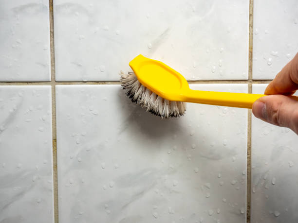 Best Office Mold Removal Services  in Newhall, IA