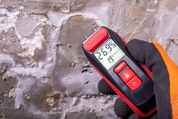 Best Toxic Mold Removal  in Newhall, IA