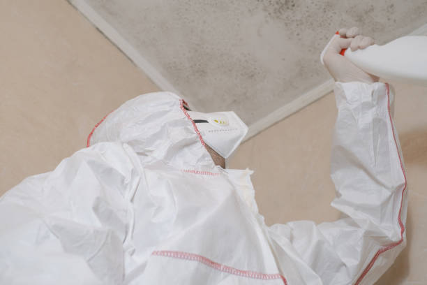 Best Mold Remediation  in Newhall, IA