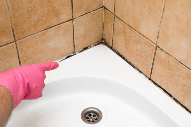 Best Mold Testing  in Newhall, IA